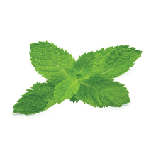 Load image into Gallery viewer, FUMARI TOBACCO 1KG